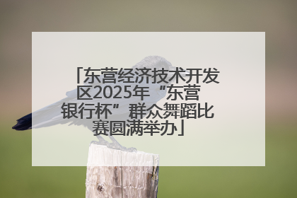 东营经济技术开发区2025年“东营银行杯”群众舞蹈比赛圆满举办