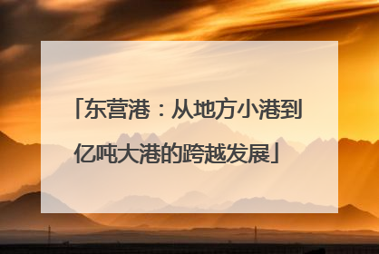 东营港：从地方小港到亿吨大港的跨越发展