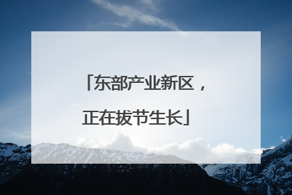 东部产业新区，正在拔节生长
