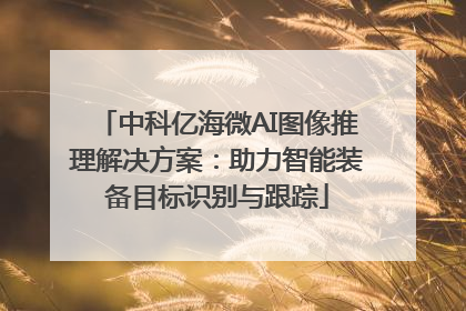 中科亿海微AI图像推理解决方案：助力智能装备目标识别与跟踪