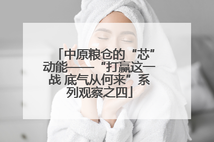 中原粮仓的“芯”动能——“打赢这一战 底气从何来”系列观察之四