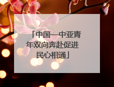 中国—中亚青年双向奔赴促进民心相通