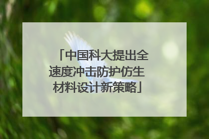 中国科大提出全速度冲击防护仿生材料设计新策略