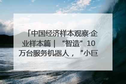 中国经济样本观察·企业样本篇｜“智造”10万台服务机器人，“小巨人”擎朗有大梦想