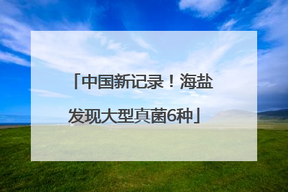 中国新记录！海盐发现大型真菌6种