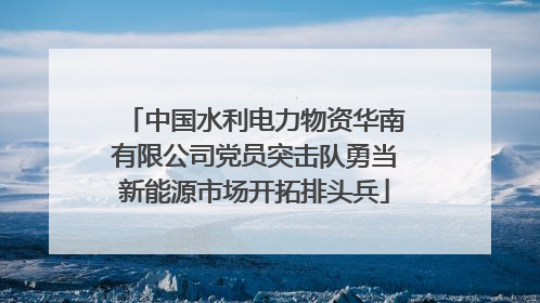 中国水利电力物资华南有限公司党员突击队勇当新能源市场开拓排头兵