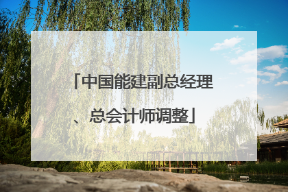 中国能建副总经理、总会计师调整