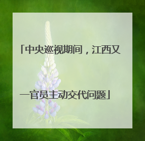 中央巡视期间，江西又一官员主动交代问题