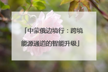 中蒙俄边境行：跨境能源通道的智能升级