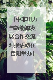 中非电力与新能源发展合作交流对接活动在岳阳举办