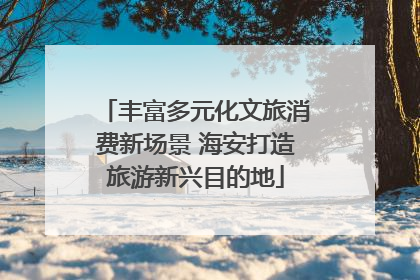 丰富多元化文旅消费新场景 海安打造旅游新兴目的地