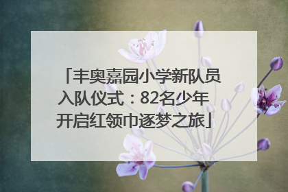 丰奥嘉园小学新队员入队仪式：82名少年开启红领巾逐梦之旅