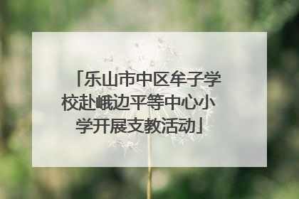 乐山市中区牟子学校赴峨边平等中心小学开展支教活动