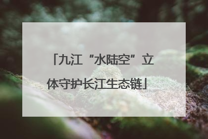 九江“水陆空”立体守护长江生态链