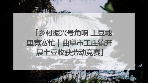 乡村振兴号角响 土豆地里竞赛忙｜曲阜市王庄镇开展土豆收获劳动竞赛