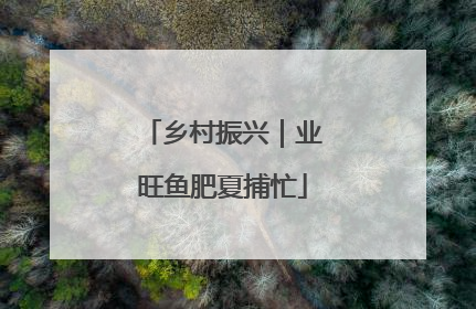 乡村振兴｜业旺鱼肥夏捕忙