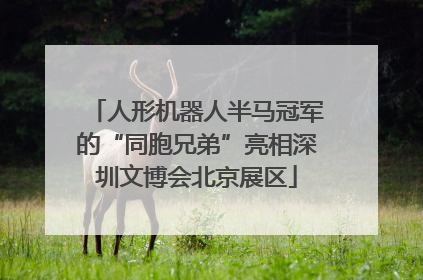人形机器人半马冠军的“同胞兄弟”亮相深圳文博会北京展区