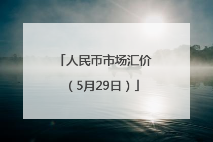 人民币市场汇价（5月29日）