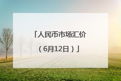 人民币市场汇价（6月12日）