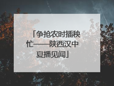 争抢农时插秧忙——陕西汉中夏播见闻