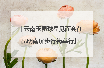 云南玉昆球星见面会在昆明南屏步行街举行