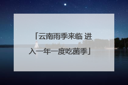云南雨季来临 进入一年一度吃菌季