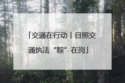 交通在行动丨日照交通执法“粽”在岗