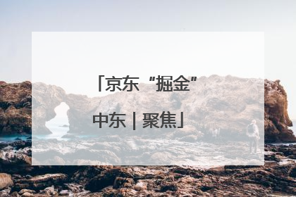 京东“掘金”中东｜聚焦