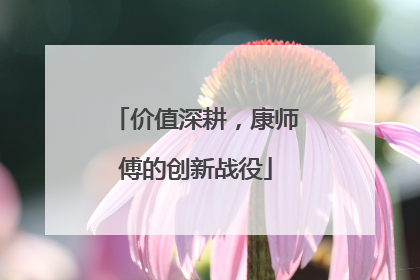 价值深耕，康师傅的创新战役
