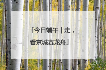 今日端午｜走，看京城赛龙舟