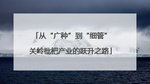从“广种”到“细管” 关岭枇杷产业的跃升之路