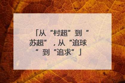 从“村超”到“苏超”，从“追球”到“追求”