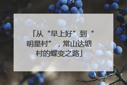 从“早上好”到“明星村”，常山达塘村的蝶变之路