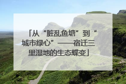 从“脏乱鱼塘”到“城市绿心”——宿迁三里湿地的生态蝶变