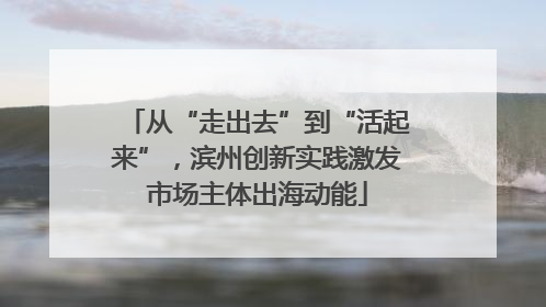 从“走出去”到“活起来”，滨州创新实践激发市场主体出海动能