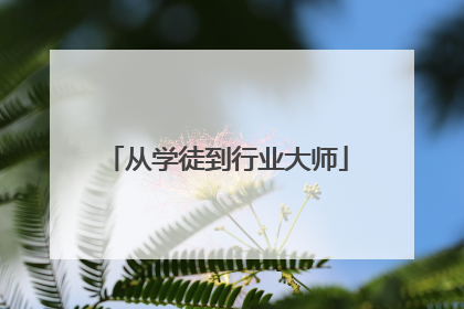 从学徒到行业大师