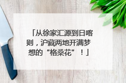 从徐家汇源到日喀则，沪藏两地开满梦想的“格桑花”！