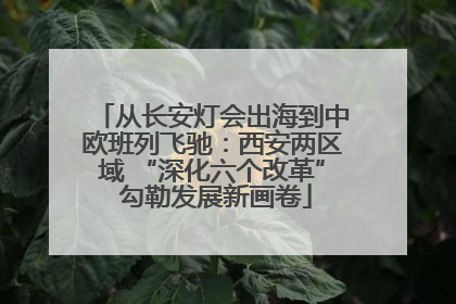 从长安灯会出海到中欧班列飞驰：西安两区域 “深化六个改革” 勾勒发展新画卷
