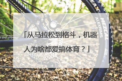 从马拉松到格斗，机器人为啥都爱搞体育？