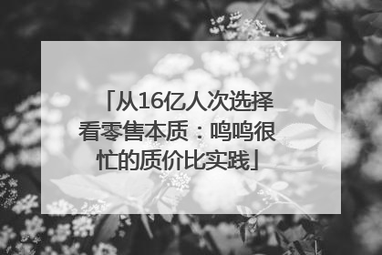 从16亿人次选择看零售本质：鸣鸣很忙的质价比实践