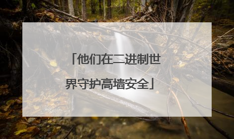 他们在二进制世界守护高墙安全