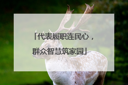 代表履职连民心，群众智慧筑家园
