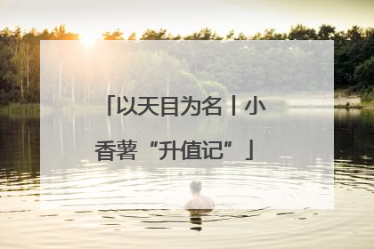 以天目为名丨小香薯“升值记”