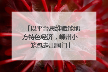 以平台思维赋能地方特色经济，嵊州小笼包走出国门