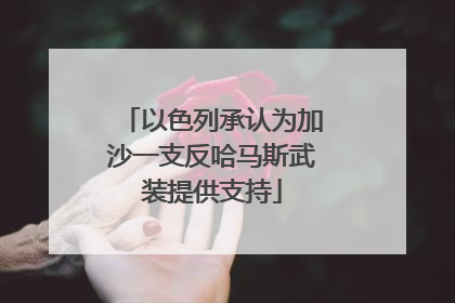 以色列承认为加沙一支反哈马斯武装提供支持