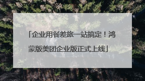 企业用餐差旅一站搞定！鸿蒙版美团企业版正式上线