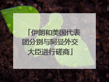 伊朗和美国代表团分别与阿曼外交大臣进行磋商