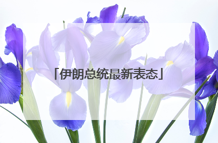 伊朗总统最新表态