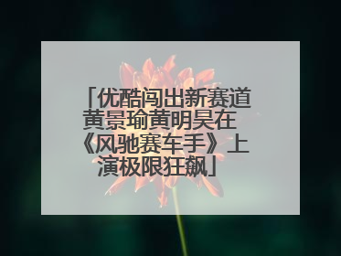 优酷闯出新赛道 黄景瑜黄明昊在《风驰赛车手》上演极限狂飙