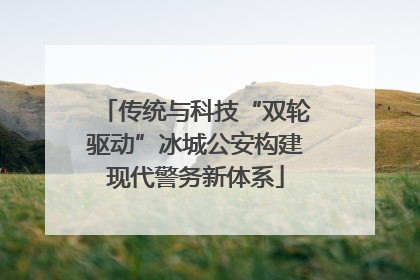 传统与科技“双轮驱动”冰城公安构建现代警务新体系
